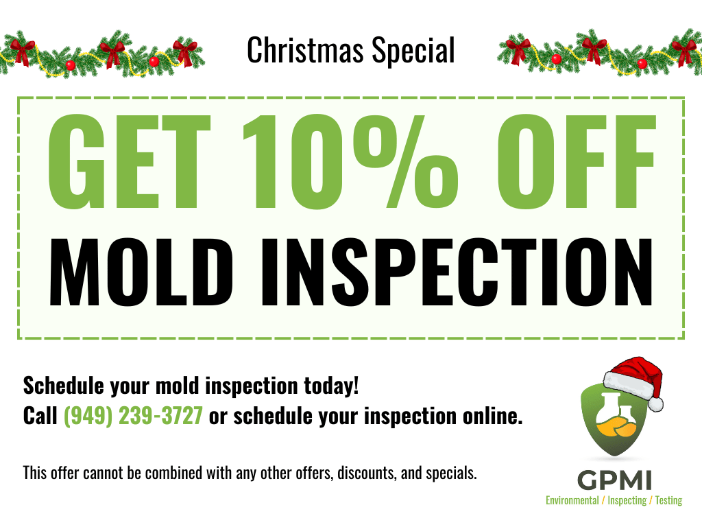 mold inspection 10 percent off popup