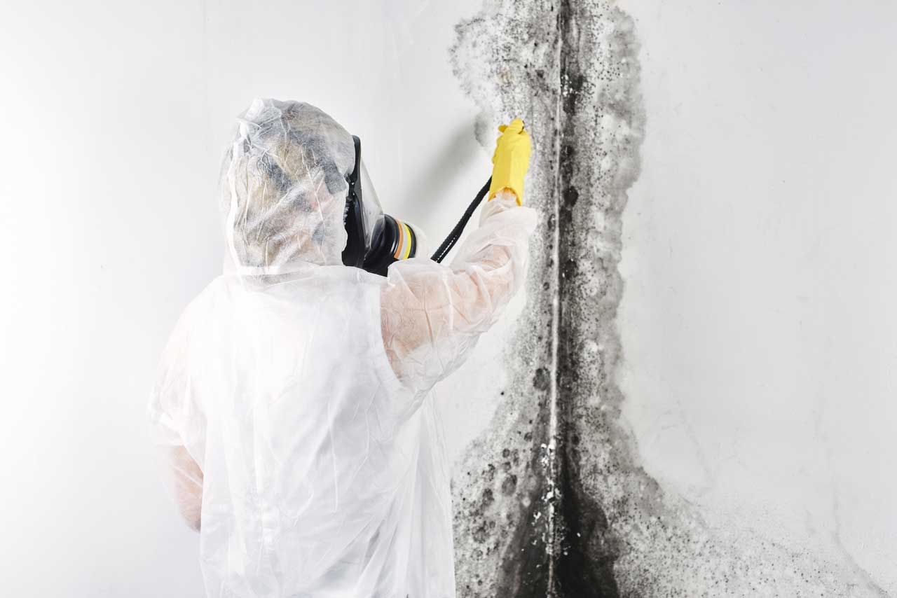 Mold Inspection Chicago IL - Mold testing by Simply Mold Gone
