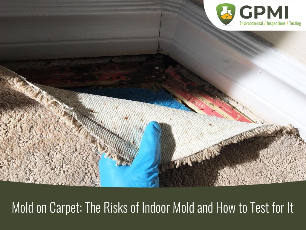 Best Carpet Padding Options for Your Home