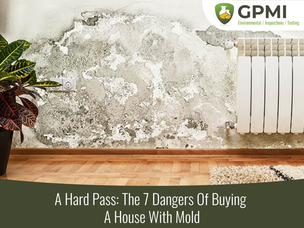 How to Find a Home or Apartment Free of Mold and Other Toxins