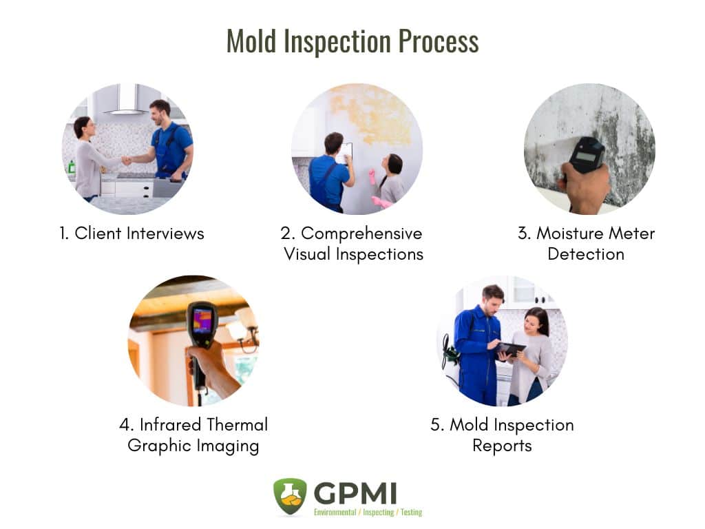 Can Mold Inspection Be Replaced by Home Mold Testing Kits?