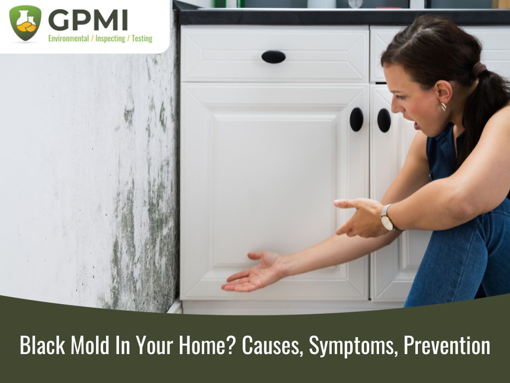 8 Signs That You Need Mold Inspection