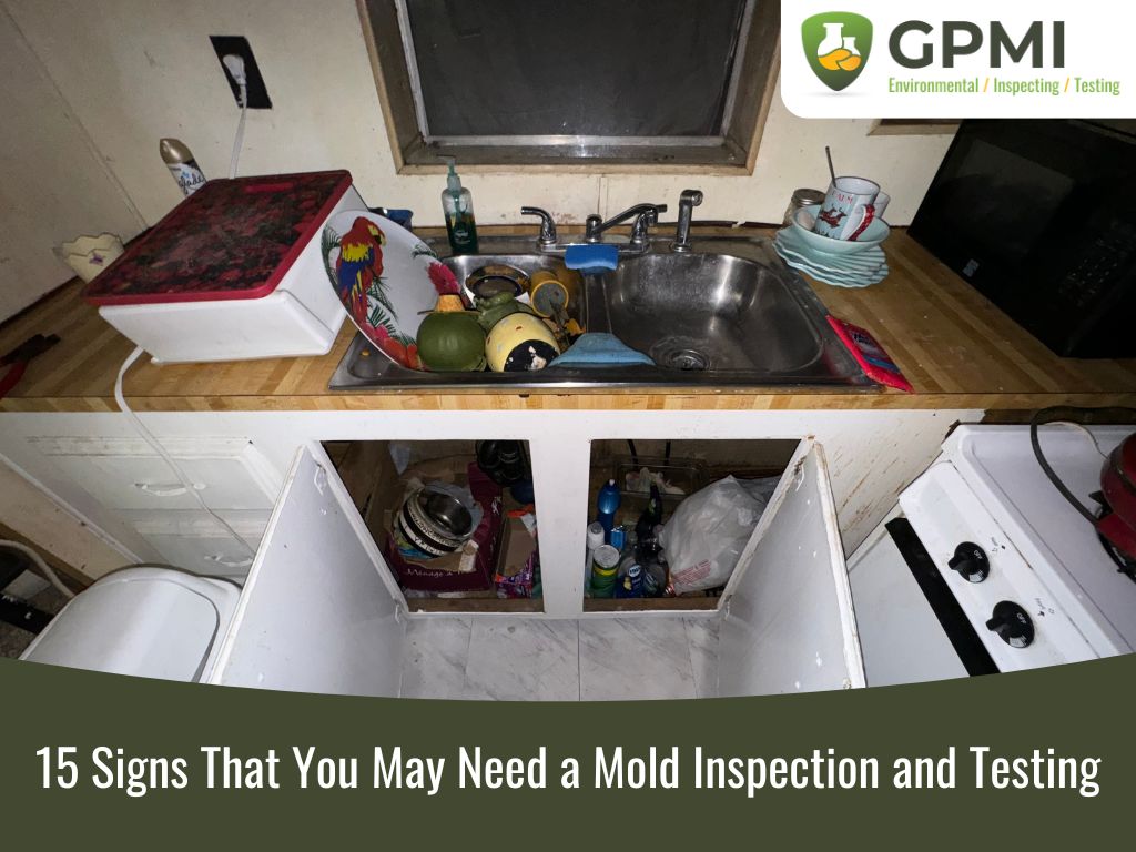 15 Signs That You May Need a Mold Inspection and Testing